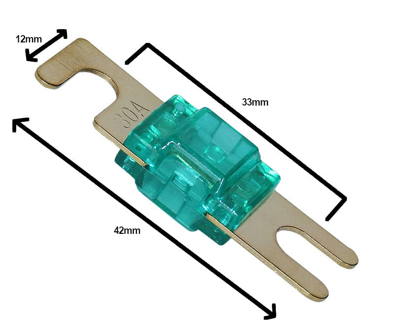 100A ANL Blade Fuse (12V-24V)