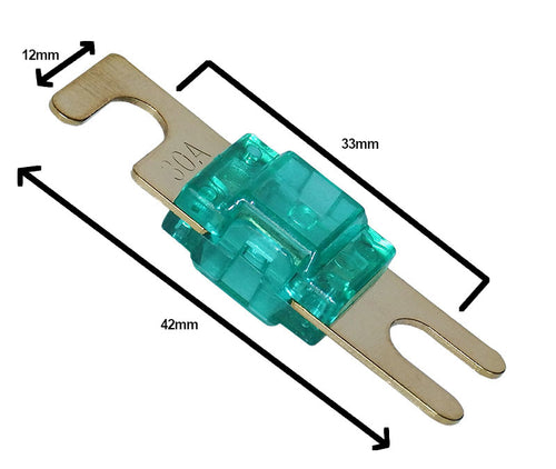 100A ANL Blade Fuse (12V-24V)